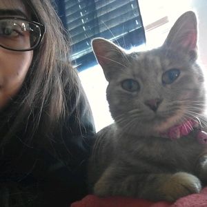 Meet your Posher, Barbara